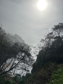 This image has an empty alt attribute; its file name is Beach-and-trees-rotated.jpeg